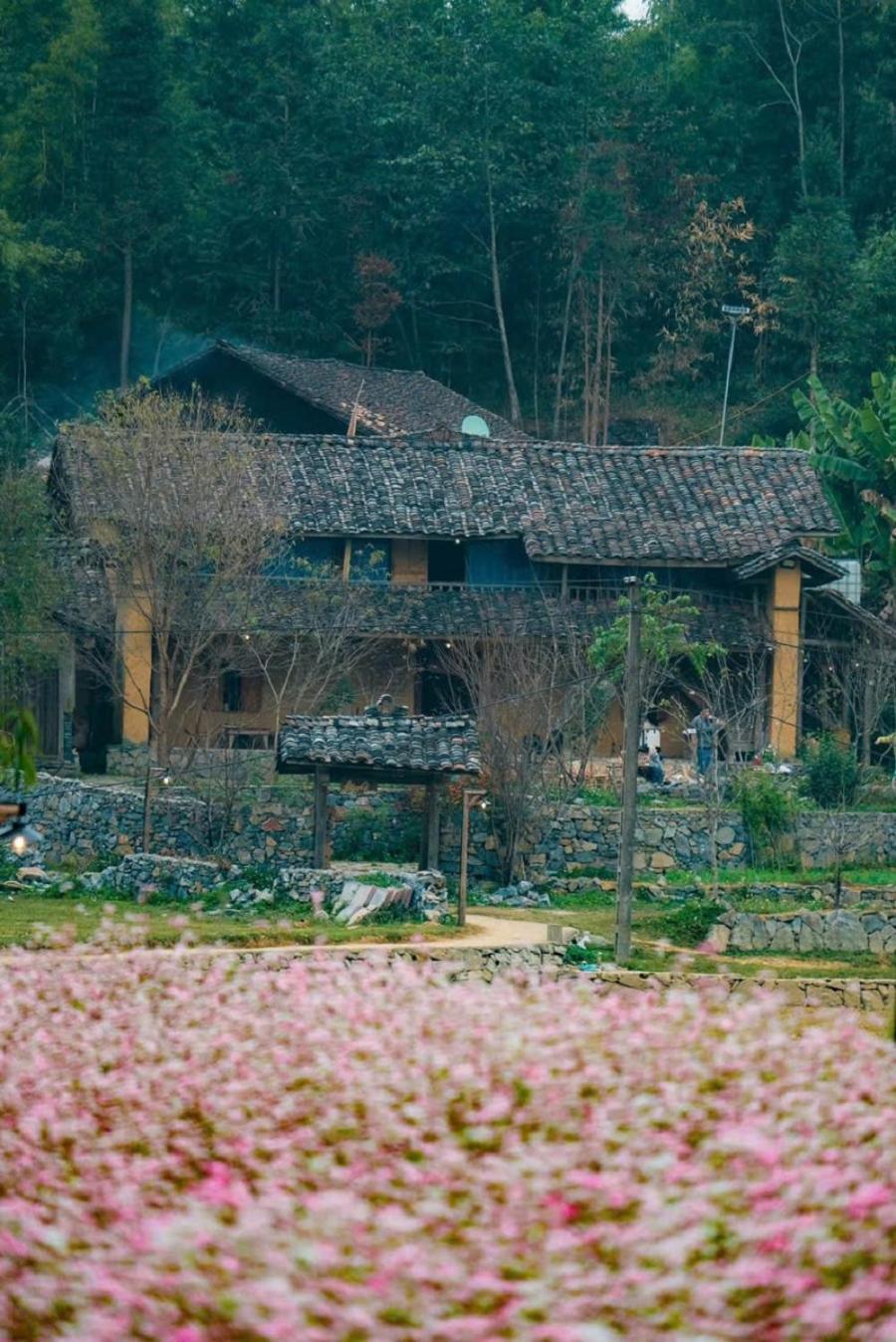 Voi Meo Vac Hostel & Breakfast Exterior photo